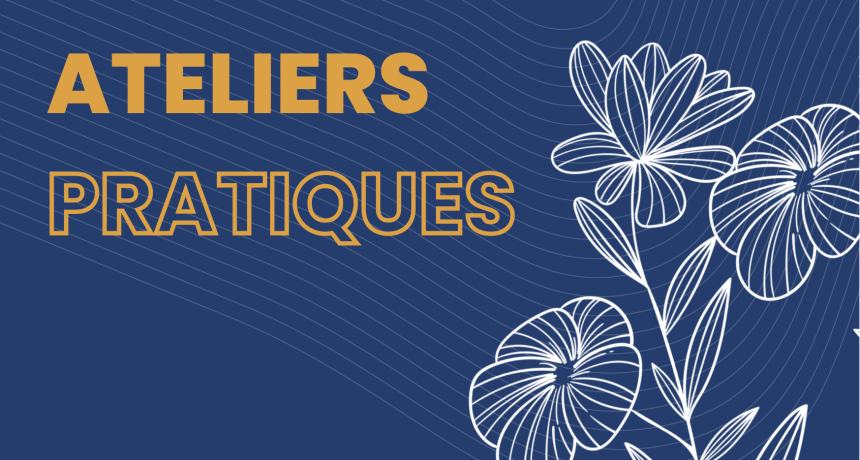 ateliers pratiques cheval deauville normandy horse meet up