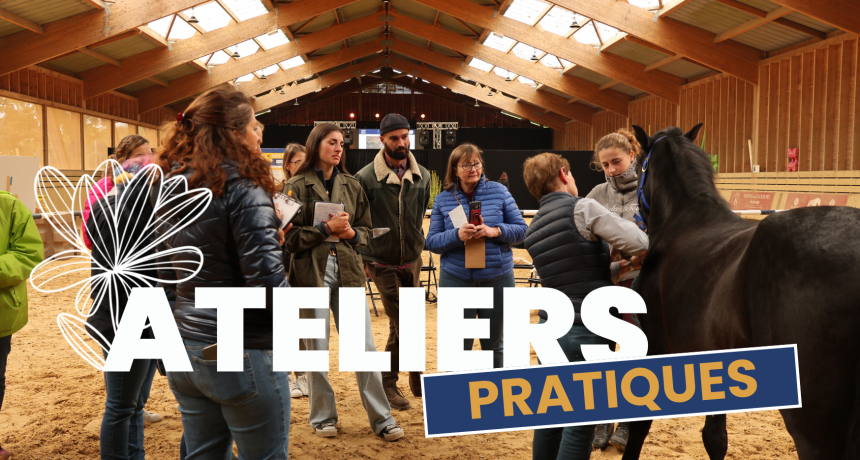 ateliers pratiques normandy horse meet'up