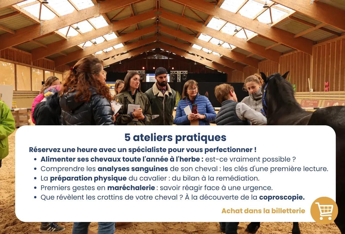 Atelier pratiques 
