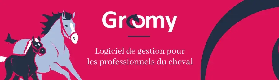 Groomy