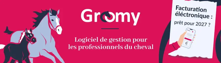 Groomy