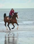 Caroline Palis intervenant au salon Normandy Horse Meet'Up au Pôle International du Cheval Longines-Deauville les 21 et 22 septembre 2023